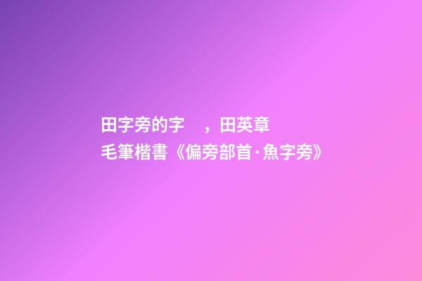田字旁的字，田英章毛筆楷書《偏旁部首·魚字旁》